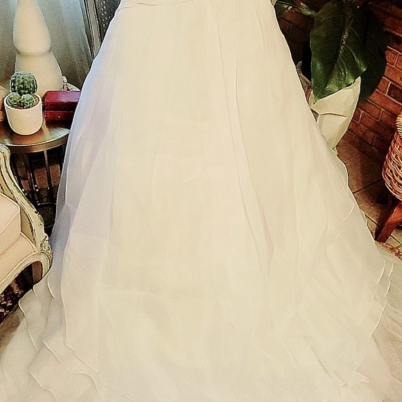 DaVinci Bridal Gown - Picture 7 of 10